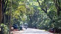 Weiter auf der A28 in Richtung Anuradhapura fahren wir durch dichte Wälder.