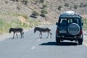 "King of the road", sagt unser Fahrer. Die Esel beherschen die Strasse und laufen teilweise ohne Begleitung bepackt und in 5er Gruppe von einem Ort zum anderen.