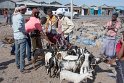 Viehmarkt in Afrera, es wird unendlich gehandelt.