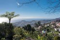 Madeira 2018-01-16 15-34-30 (DSC_0857)