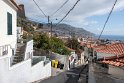 Madeira 2018-01-19 12-49-41 (DSC_1299)